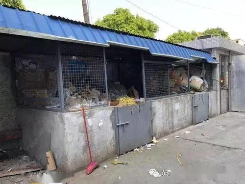 廢品站再做這類回收，就要攤上大事了！環境局提醒 一般工業固廢未按要求存放，最低罰款10萬元，嚴重的還要拘留